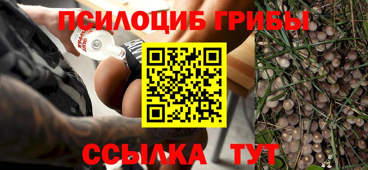 Псилоцибиновые грибы GOLDEN TEACHER  Вход с VPN  Галлюциногенные грибы GOLDEN TEACHER  где можно купить   Лосино-Петровский 